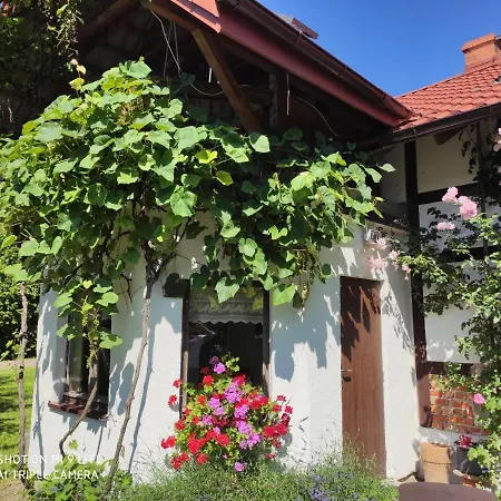 Wielochowo 4 Holiday home Lidzbark Warminski